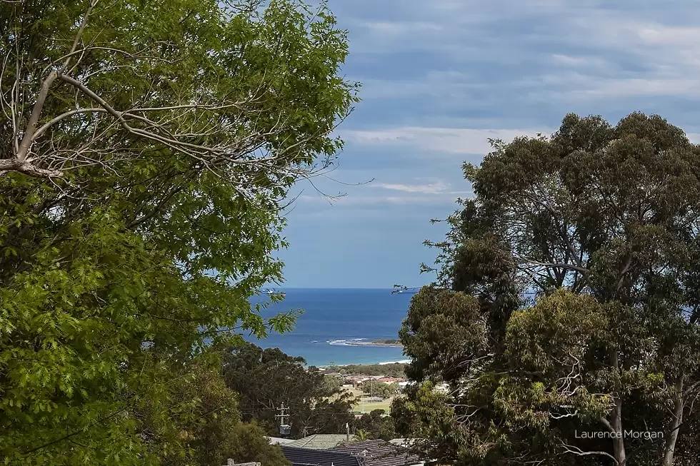 36 Nardoo Crescent, Thirroul Sold by Laurence Morgan Real Estate - image 12