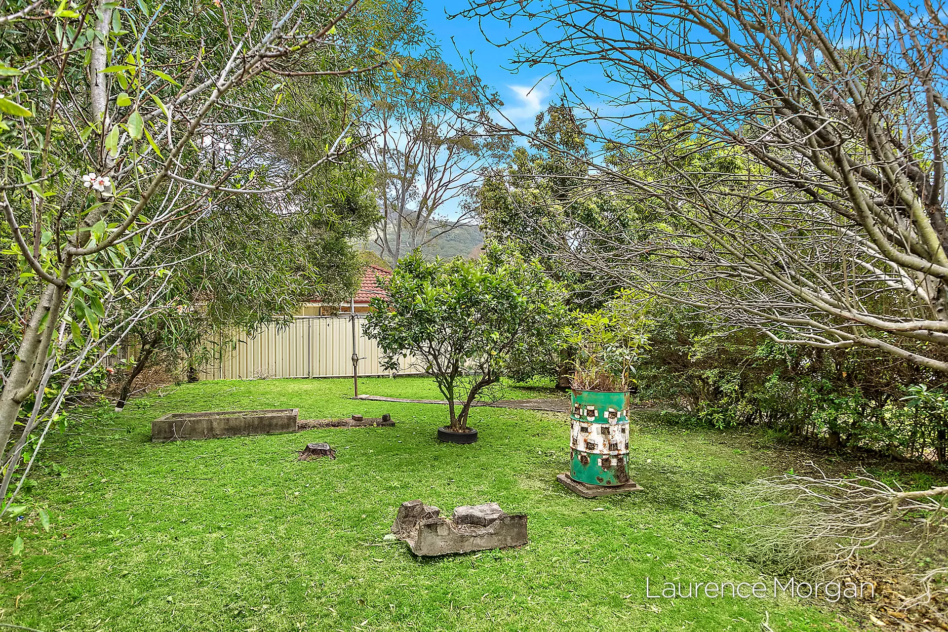 41 Wallace Road, Fernhill Sold by Laurence Morgan Real Estate - image 5