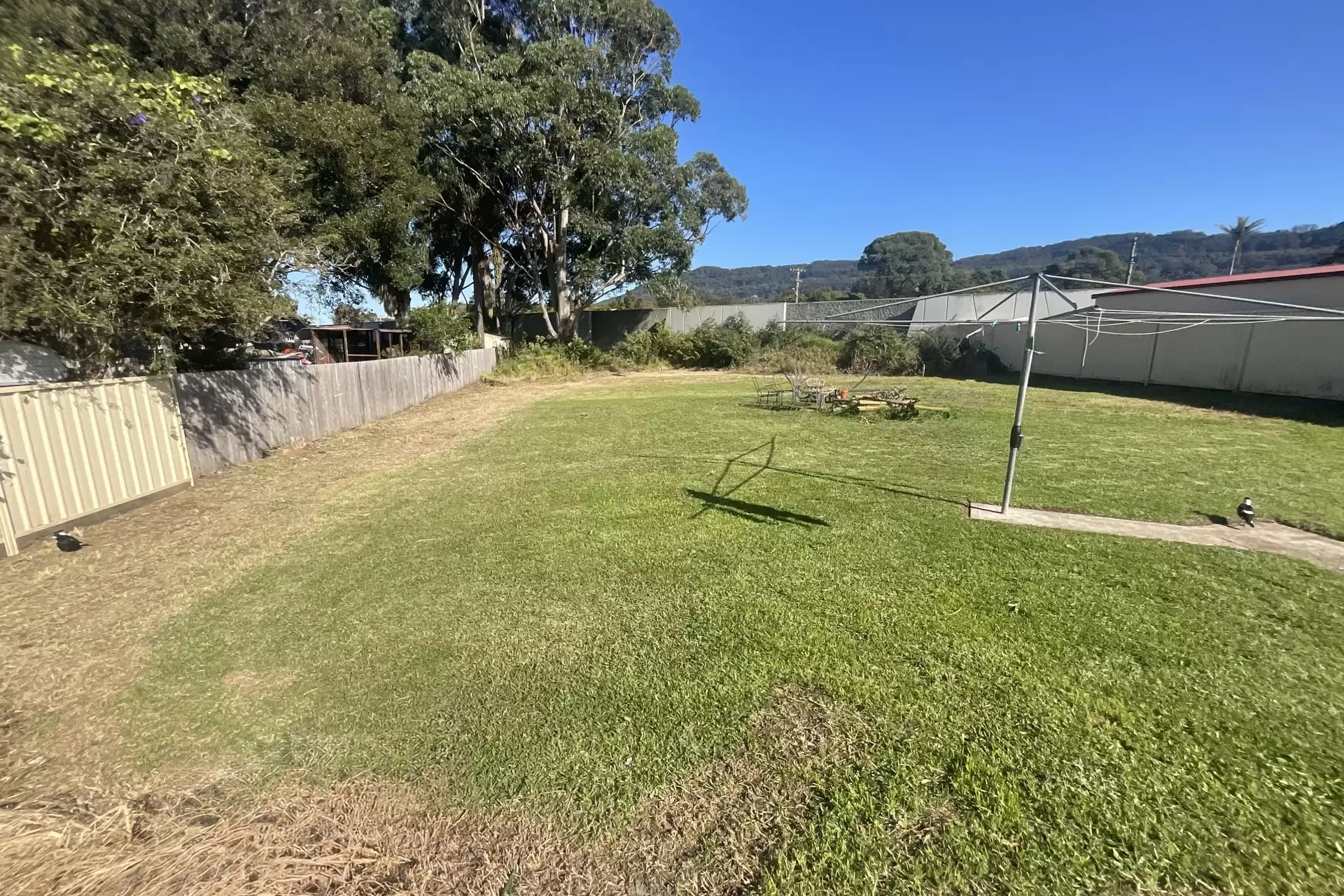 Woonona Leased by Laurence Morgan Real Estate - image 6
