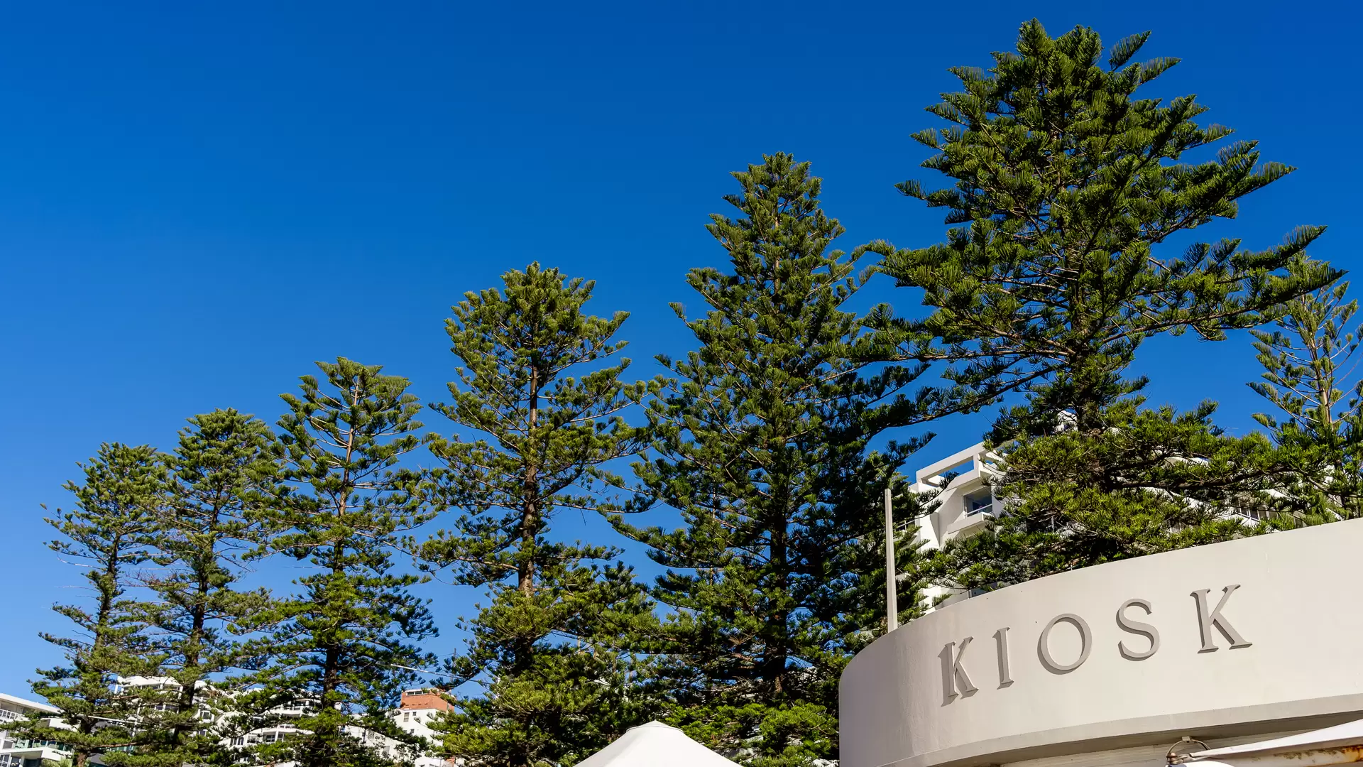 Wollongong Leased by Laurence Morgan Real Estate - image 14